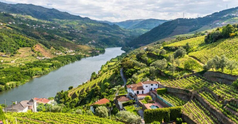 From Porto: Full-Day Douro Historical Tour - Who Is This Tour Best For?