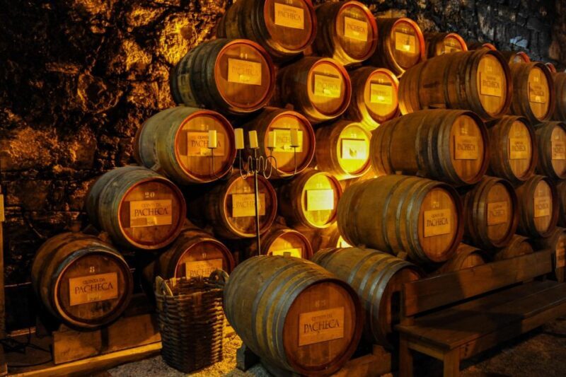 From Porto: Full-Day Douro Valley Trip - The Sum Up: Is This Tour For You?