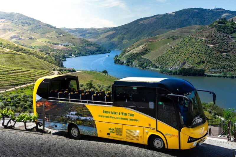 From Porto: Full-Day Douro Valley & Wine Tour with Lunch - What Travelers Say