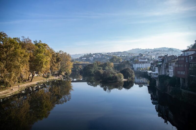From Porto: Full-Day Douro Valley & Wine Tour with Lunch - Practical Tips for Travelers