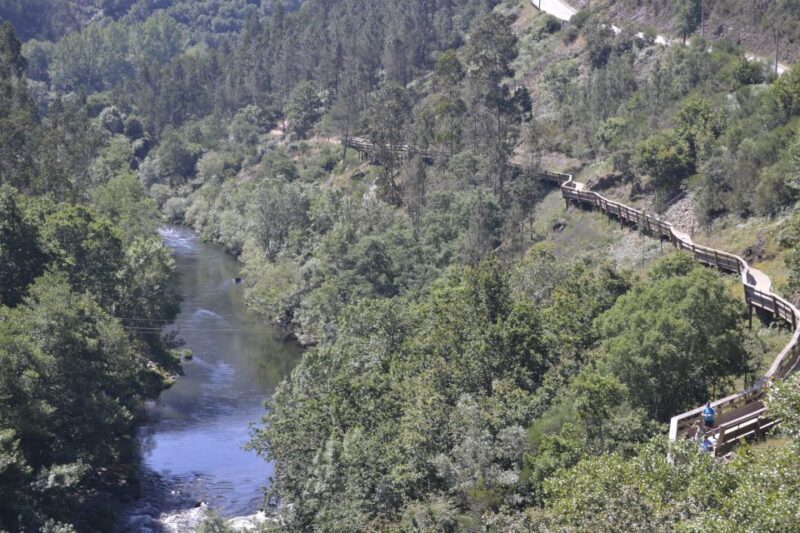 From Porto: Full-Day Paiva Walkways Tour with DOP Beef lunch - Key Points