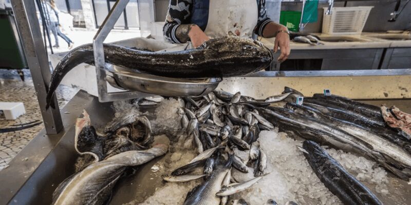 From Porto: Full-Day Trip to Coimbra & Aveiro with Boat Ride - FAQ