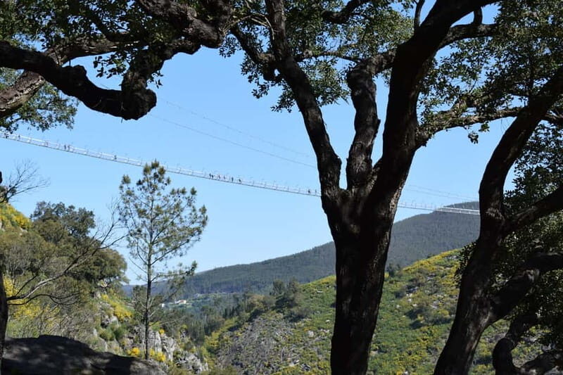 From Porto: Guided Tour of the 516 Arouca Suspension Bridge and Paiva Walkways - Key Points