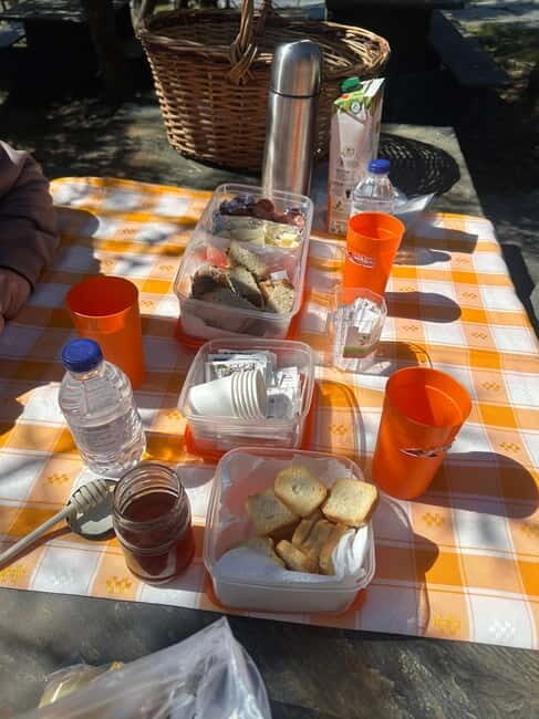 From Porto: Jeep Tour Ponte 516 Arouca + Vale do Paiva - Key Points