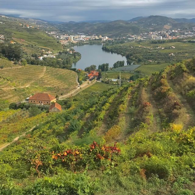 From Porto: luxury tour with full lunch at Quinta da Pacheca - Key Points