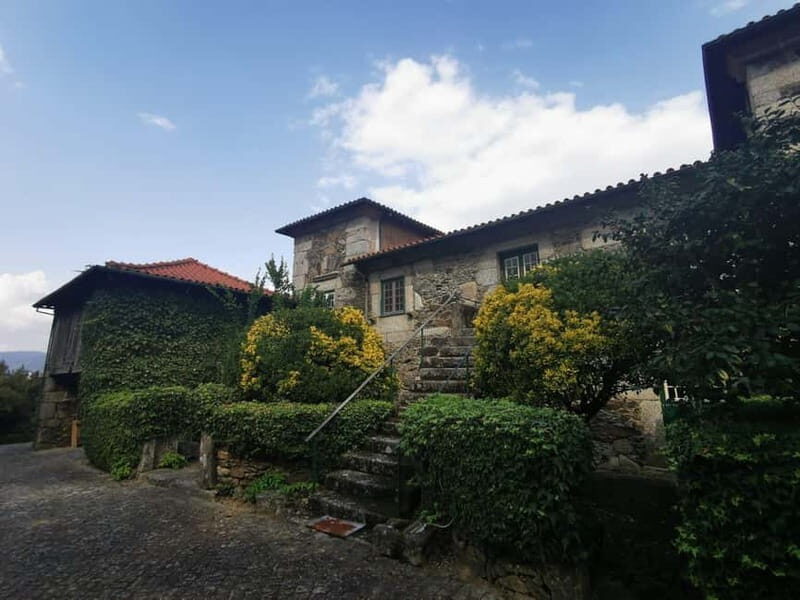 From Porto: Nature and Wine tasting Full-Day Tour - Exploring the Details: What Makes This Tour Special