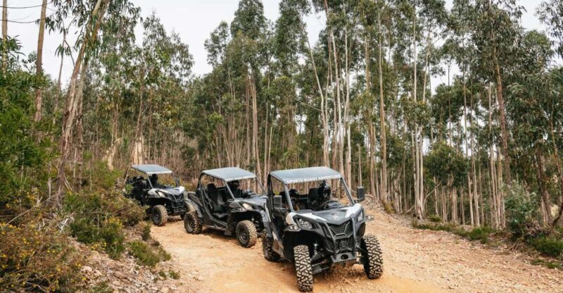 From Porto: Off-Road Buggy Adventure - A Deep Dive Into the Porto Off-Road Buggy Experience