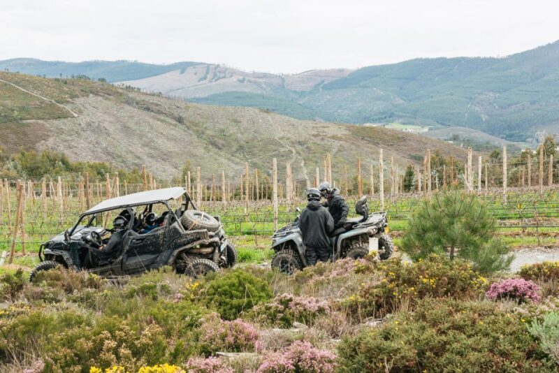 From Porto: Off-Road Buggy Adventure - Authentic Experiences from Reviews