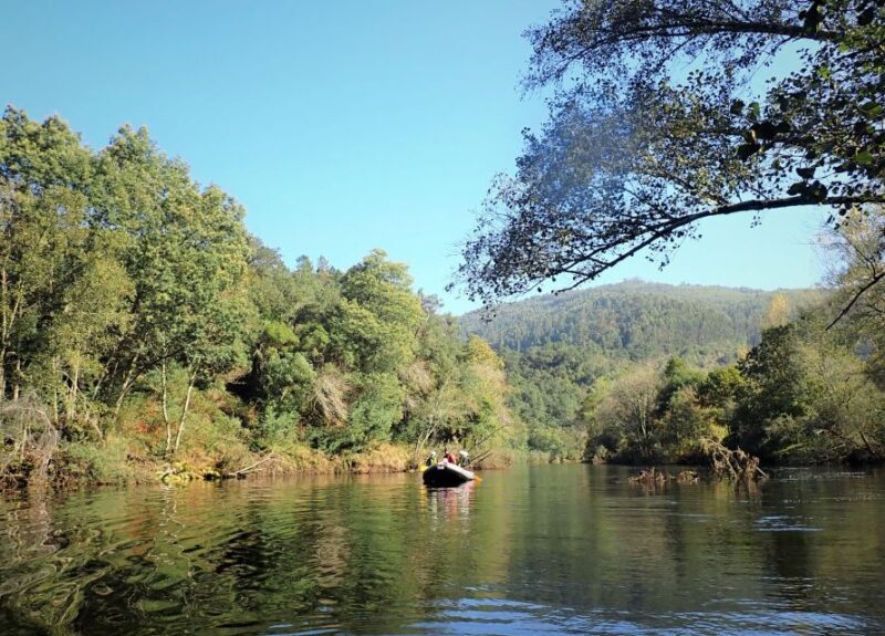From Porto: Paiva River Rafting Discovery - Adventure Tour - Final Thoughts