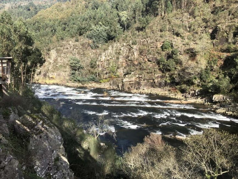 From Porto - Paiva Walkways and Suspension Bridge - The Balance of Value and Experience