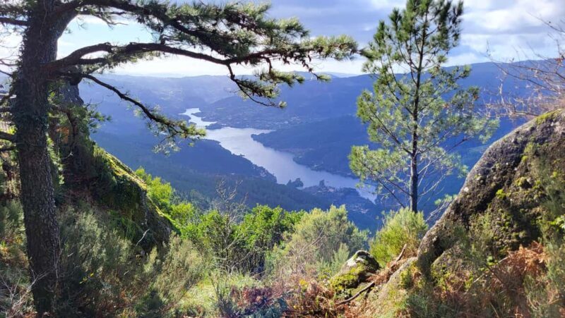 From Porto: Peneda-Gerês National Park Day Trip - Why Choose This Tour?