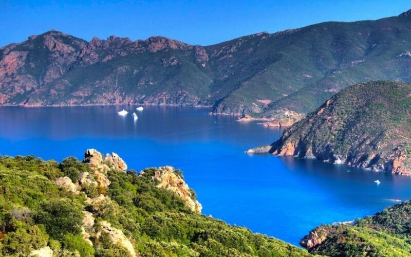 From Porto: Piana Creeks and Scandola Semi-Rigid Boat Tour - Final Thoughts