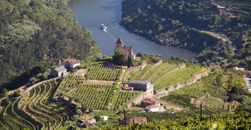 From Porto: Premium Douro Valley Small-Group Wine Tour - Exploring the Douro Valley: What You Can Expect