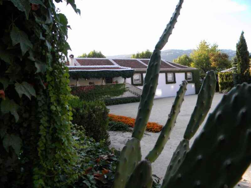 From Porto: Private Douro Valley Tour with Booking Service - Lunch and Local Cuisine