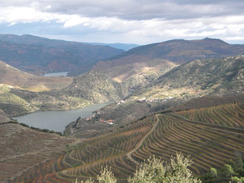 From Porto: Private Douro Valley Tour with Booking Service - Scenic Road and Viewpoints