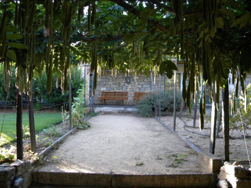 From Porto: Private Douro Valley Tour with Booking Service - Optional Boat Trip