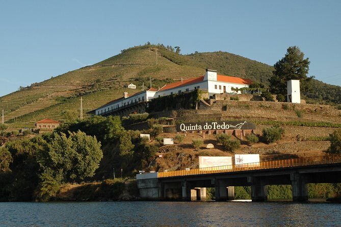 From Porto Private Tour Douro Valley two Wineries, Lunch and Boat. - What the Tour Includes and What to Expect