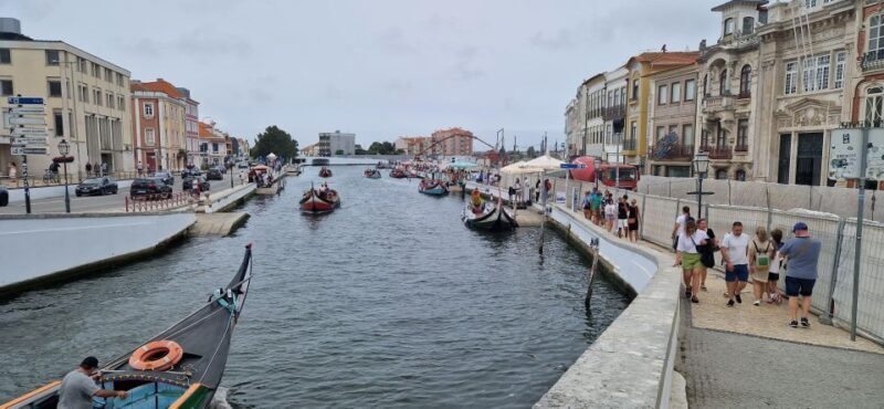 From Porto Private Tour Half Day in Aveiro and Costa Nova - Key Points