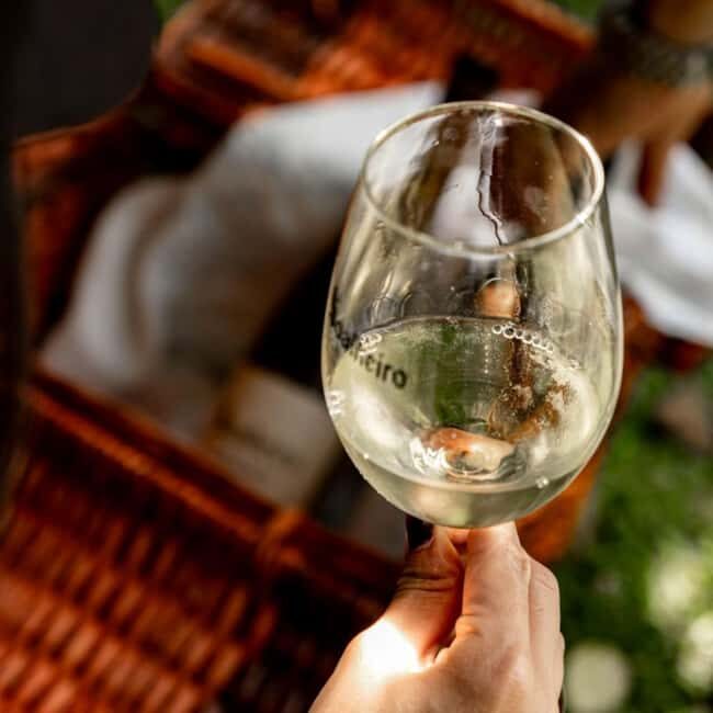 From Porto: Private Vinho Verde wine tour with tasting, lunch, and palace visit. - Key Points