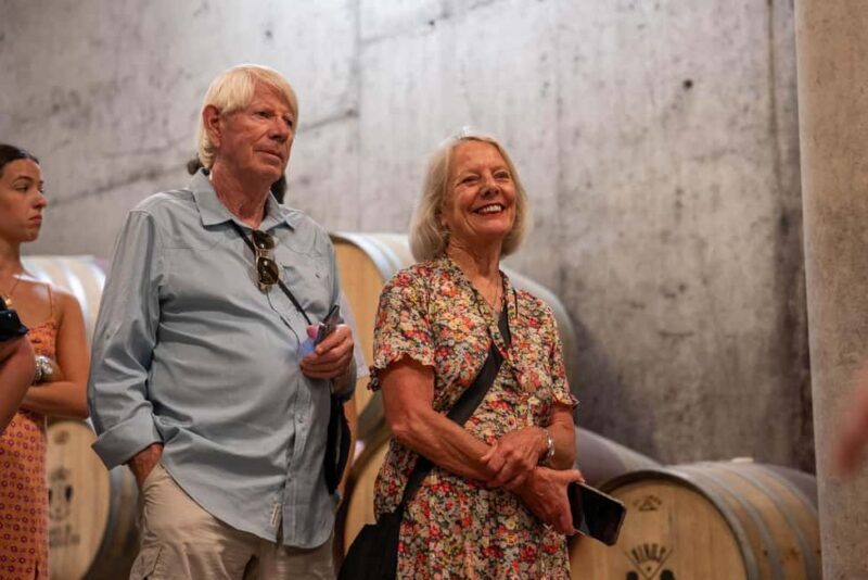 From Porto: Small Group Douro Valley Tour with Wine & Cruise - Return Journey and Final Impressions