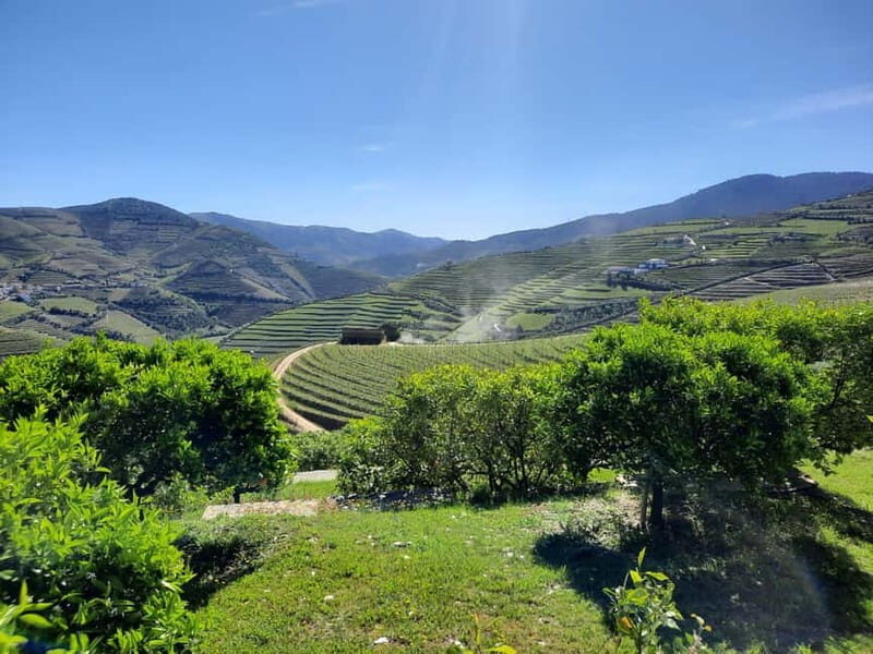 From Porto: small-group guided tour of the Douro Valley and Gerês - What Makes This Tour Stand Out?