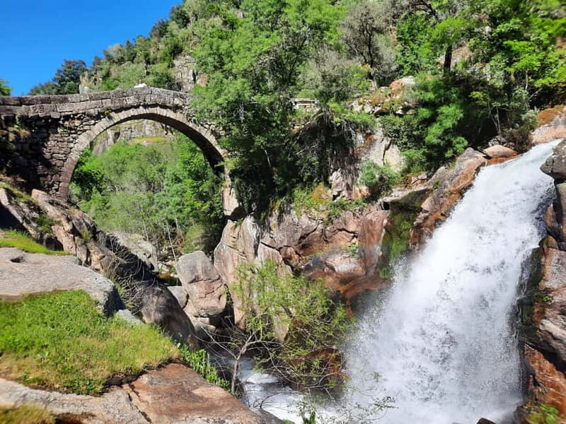 From Porto: small-group guided tour of the Douro Valley and Gerês - Final Thoughts