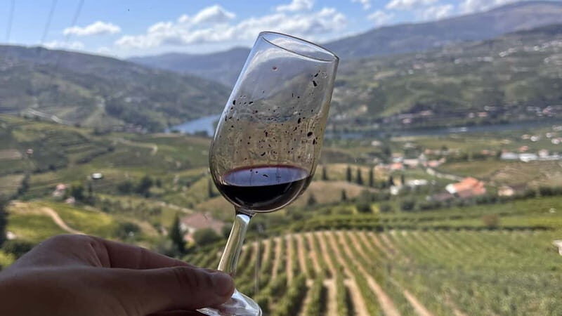 From Porto: Tastings at 2 Wineries, Chef's Lunch & Boat Tour - Final Return & Reflection