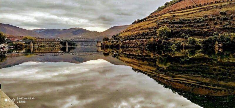 From Porto to Pinhão, Walk & Wine Tour - Introduction: An Elegant Day in Portugal’s Douro Valley