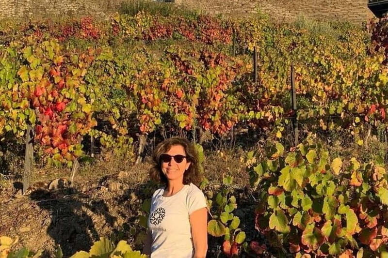 From Porto: Valle del Duero Full-Day Private Tour - Key Points