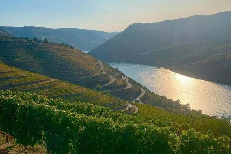From Porto: Valle del Duero Full-Day Private Tour - Final Thoughts