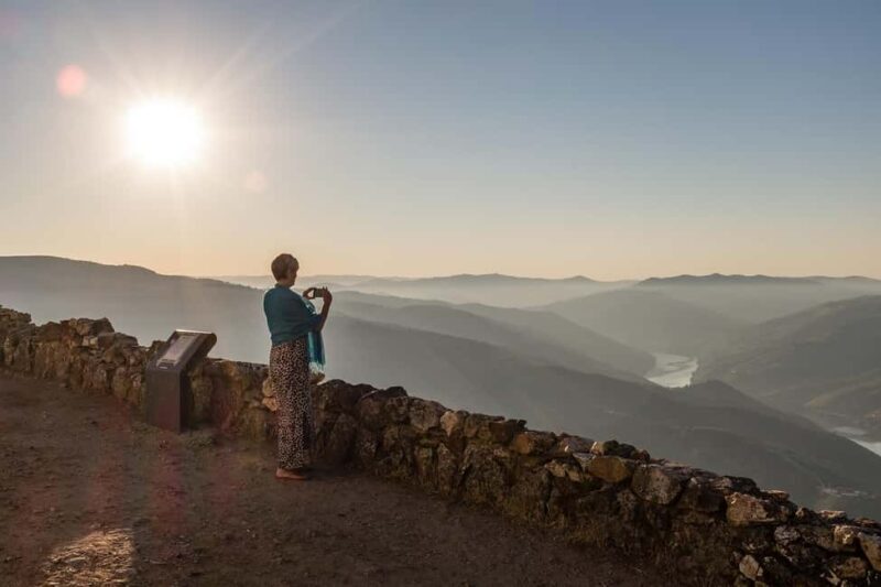 From Porto: Wine Tasting with Lunch at a Farm and Cruise - Exploring the Douro Valley: A Closer Look at the Tour