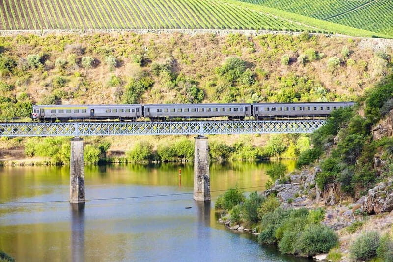 From Porto: Wine Tasting with Lunch at a Farm and Cruise - Final Thoughts