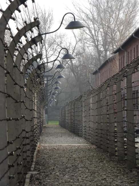 From Prague: Auschwitz-Birkenau Memorial Private Tour - Key Points