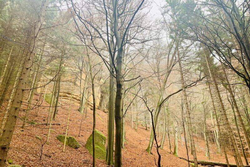 From Prague: Bohemian and Saxon Switzerland Full-Day Tour - The Sum Up