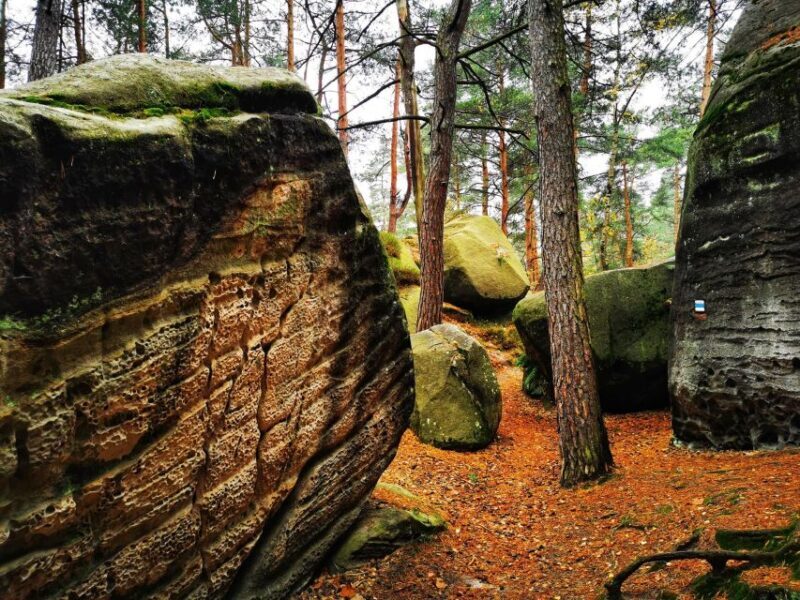 From Prague: Bohemian Paradise - Full-Day Hiking Trip - A Deep Dive into the Experience