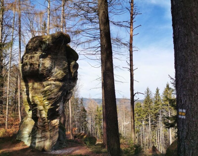 From Prague: Bohemian Paradise - Full-Day Hiking Trip - Authentic Experiences from Past Travelers