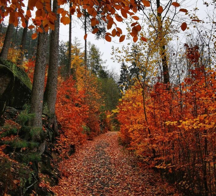 From Prague: Bohemian Paradise - Full-Day Hiking Trip - The Sum Up