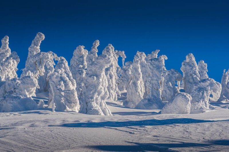 From Prague: Guided Snowshoe Tour with Mountain Views - Authentic Experiences and Hidden Gems