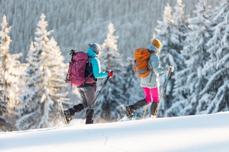 From Prague: Guided Snowshoe Tour with Mountain Views - Who Will Love This Tour?