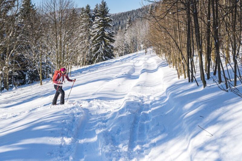From Prague: Guided Snowshoe Tour with Mountain Views - The Sum Up