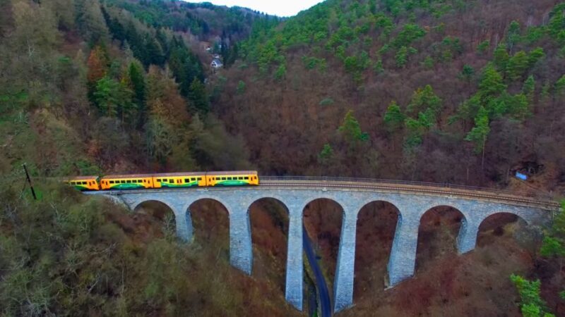 From Prague: Sazava River Canoe Day Trip for All Levels - A Relaxed and Scenic Day on the Sazava River