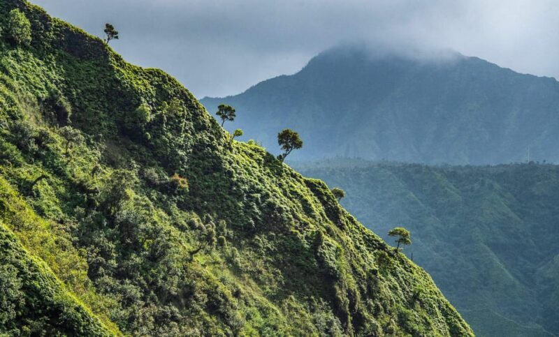 From Princeville: Discover Kauai Helicopter Tour - Practical Tips for Booking and Preparing