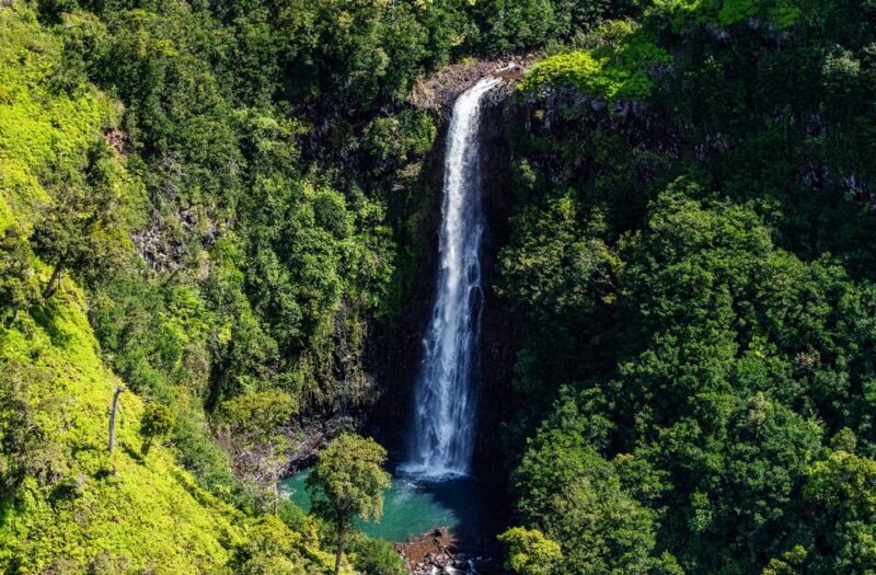 From Princeville: Discover Kauai Helicopter Tour - Final Thoughts: Is This Tour for You?