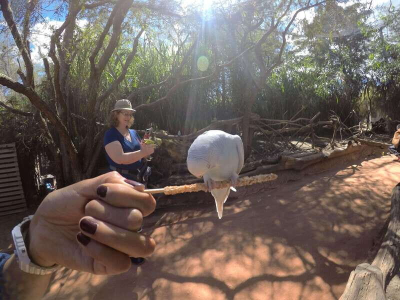 From Puebla: Africam Safari Private Tour all included - Food, Shopping, and Shows