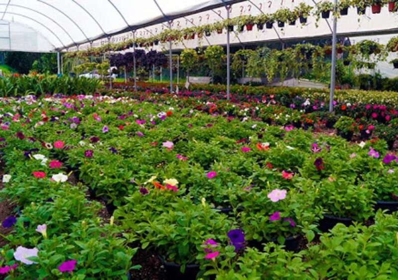 From Puebla: Cholula and Atlixco Private Tour all included - Who Would Enjoy This Tour?