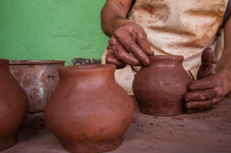 From Puerto de La Cruz: Full-Day Vip Tour to Gomera - A Detailed Look at the Full-Day Gomera Tour