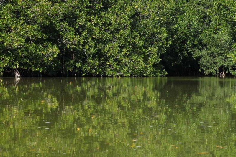 From Puerto Escondido: Day Trip to Chacahua National Park - Final Thoughts: Who Should Consider This Tour?