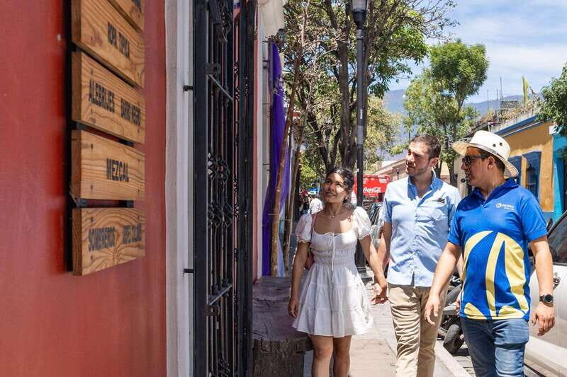 From Puerto Escondido: Gataway to Oaxaca in one day. - Who Should Consider This Tour?