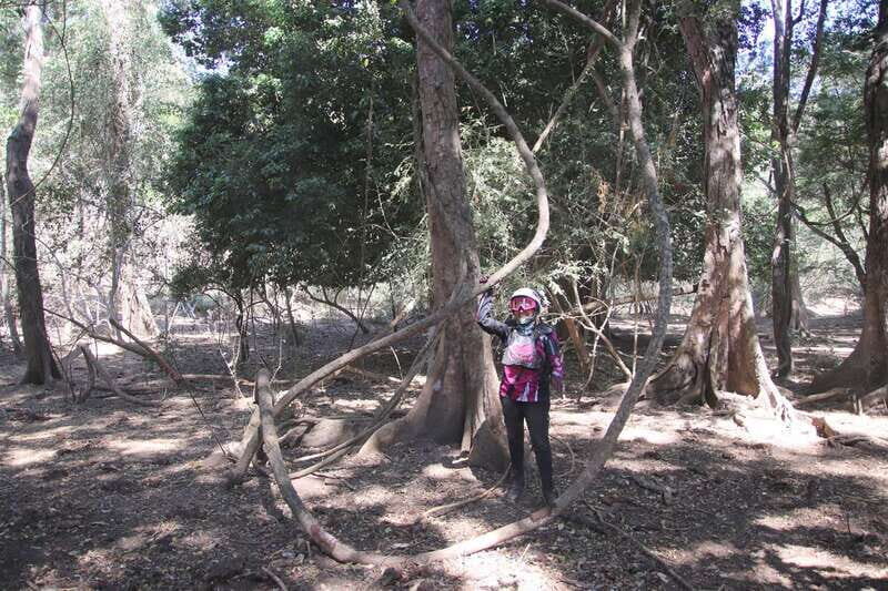 From Puerto Vallarta: 2-Hour Guided Sierra Vallejo Hike - Key Points