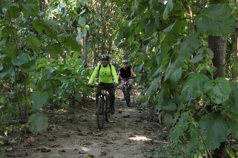 From Puerto Vallarta: Jungle Mountain Bike Tour - An In-Depth Look at the Tour